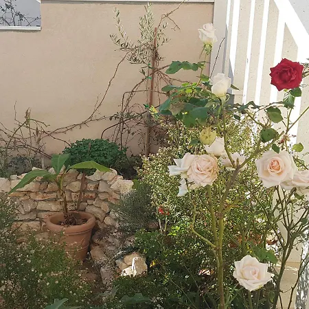 Gasthuis Hamo & Soba 3*